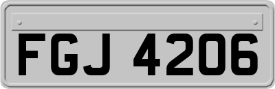 FGJ4206