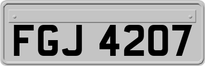 FGJ4207