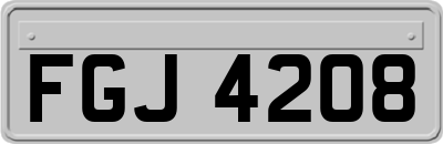 FGJ4208