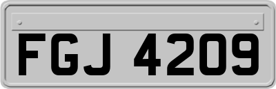 FGJ4209