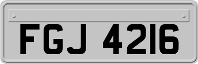 FGJ4216