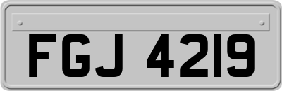 FGJ4219