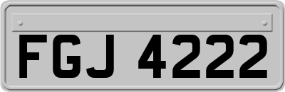 FGJ4222