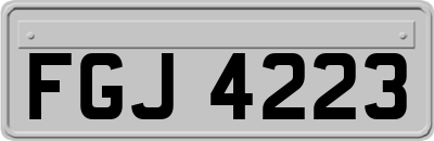 FGJ4223