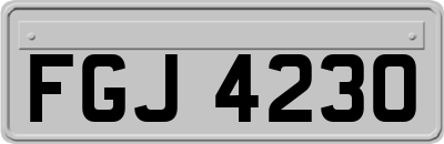 FGJ4230