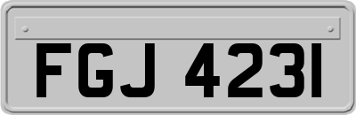 FGJ4231