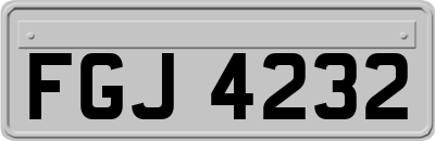 FGJ4232