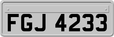 FGJ4233