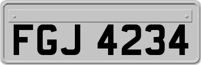 FGJ4234