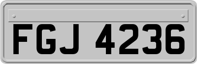 FGJ4236
