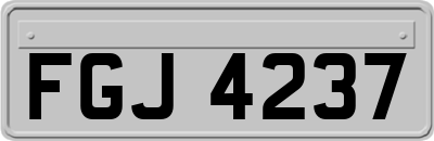 FGJ4237