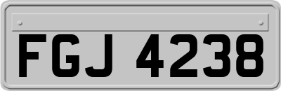 FGJ4238