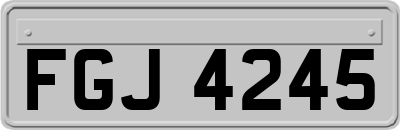 FGJ4245