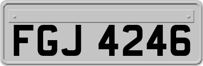 FGJ4246