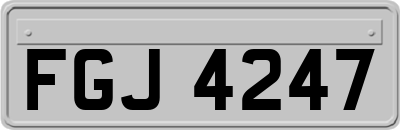 FGJ4247