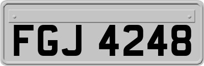 FGJ4248