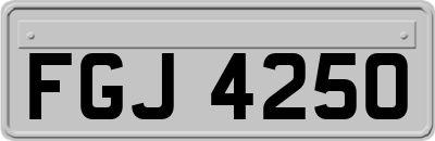 FGJ4250