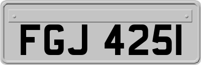 FGJ4251