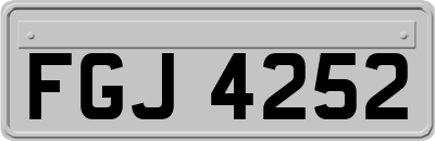 FGJ4252