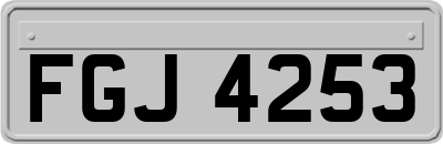 FGJ4253
