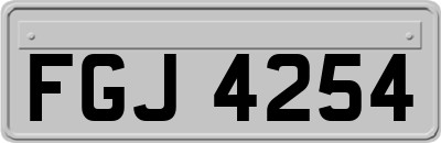 FGJ4254