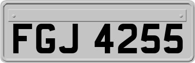 FGJ4255