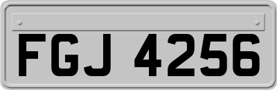 FGJ4256
