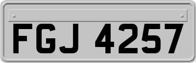 FGJ4257