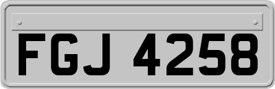 FGJ4258