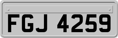 FGJ4259