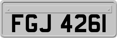 FGJ4261