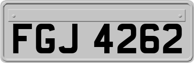 FGJ4262