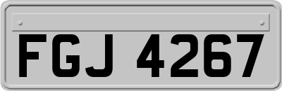FGJ4267
