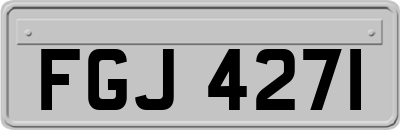 FGJ4271
