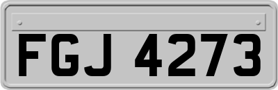FGJ4273