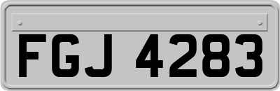 FGJ4283
