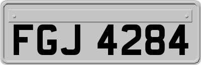 FGJ4284