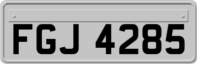 FGJ4285