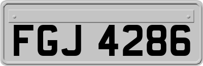 FGJ4286