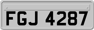 FGJ4287