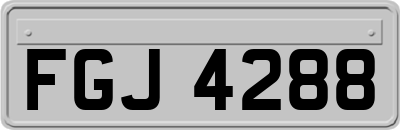 FGJ4288