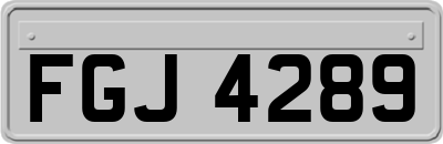 FGJ4289