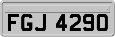 FGJ4290