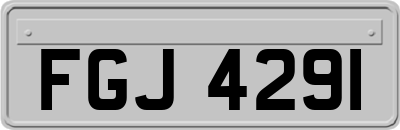FGJ4291