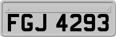 FGJ4293