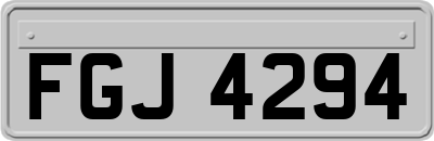 FGJ4294