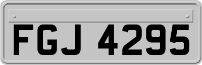 FGJ4295