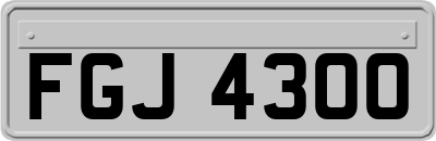FGJ4300