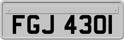 FGJ4301