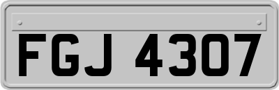 FGJ4307
